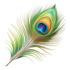 Obraz premium Peacock feather illustration isolated on transparent background 