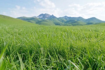 Fototapeta premium Lush green field, mountain backdrop; serene nature landscape; peaceful scenery; travel photography