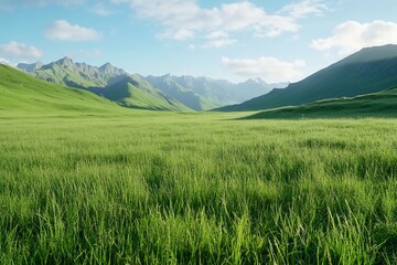 Fototapeta premium Lush green valley, mountain backdrop, sunrise. Peaceful landscape, nature photography, travel