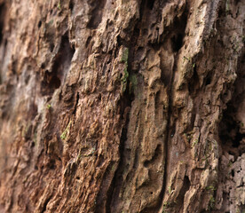texture