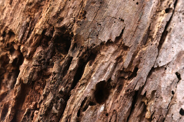 texture