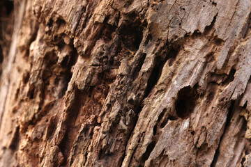 texture