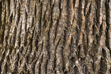 texture