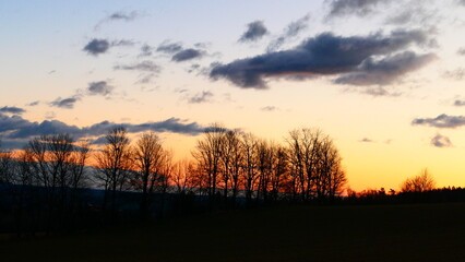 Baumsilhouetten in der Morgensonne, Bucklige Welt in Niederösterreich (4)