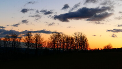 Baumsilhouetten in der Morgensonne, Bucklige Welt in Niederösterreich (3)