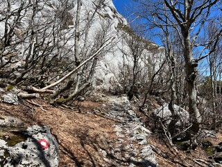 Obraz premium Premuzic hiking trail or Premuzic Trail - Northern Velebit National Park, Croatia or Premuzic-Wanderweg or Premuzic's Trail (Pješački planinarski put Premužićeva staza - NP Sjeverni Velebit, Hrvatska)