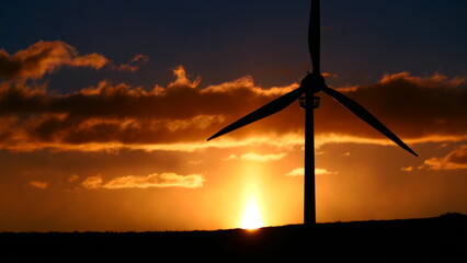 Sonnenaufgang über der Windkraftanlage Lichtenegg, Niederösterreich (2) © cagala