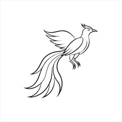 Elegant Bird with Flowing Feathers and Long Tail Vector