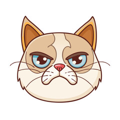 grumpy cat face vector icon, grumpy cat face vector illustration - simple illustration of grumpy cat face, perfect for logos grumpy cat face