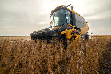 Harvesting of soybean