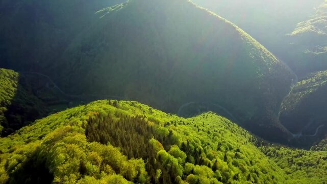 aerial view of green mountain landscape in spring