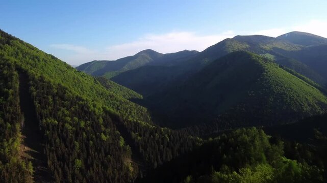 aerial view of green mountain landscape in spring