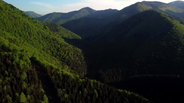 aerial view of green mountain landscape in spring
