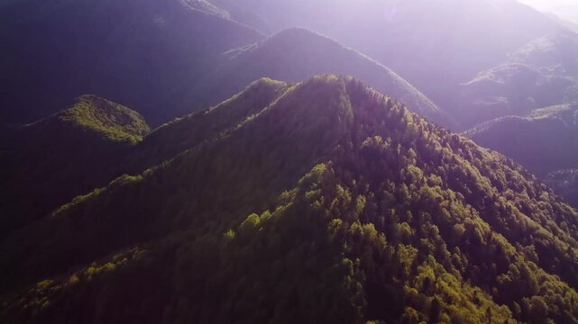 aerial view of green mountain landscape in spring