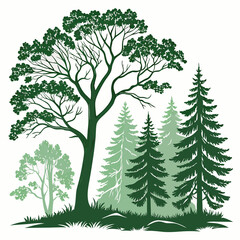 set of vector trees