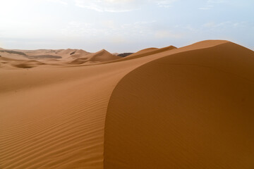 the empty quarter  and outdoor  sand  dune in Algeria old desert