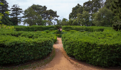 picturesque garden with topiary bushes in Croatia