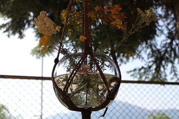 vase filled with water inside a net