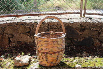 basket in the garden