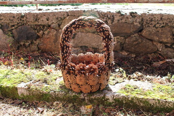pinecone basket