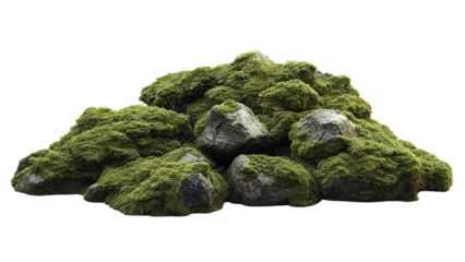 Green moss on rocks isolated on a white background