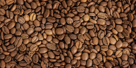 Roasted coffee beans as a background web size