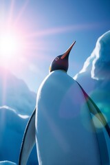 Majestic King Penguin with Upward Gaze Against Sunlit Antarctic Landscape