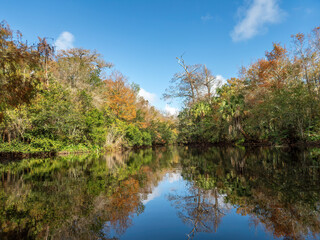 Fototapeta premium Scene on the Loxahatchee River, Florida