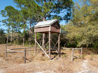 Large bat house Hopkins Prairie, Campground, Ocala National Forest, Florida, USA. 