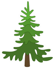 Spruce, coniferous evergreen tree - vector full color picture. Christmas tree, stylized image of a plant.	