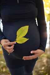 Pregnant woman holding a leaf near her belly, close-up