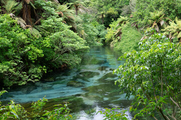blue spring in New Zealand