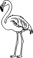 Hand Drawn Flamingo Bird Line Art