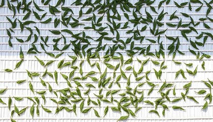 Scattered Green Leaves on White Grid: A Serene Minimalist Study