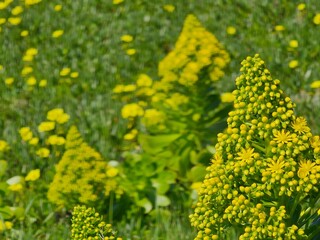 Scenes from San Francisco