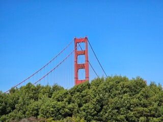 Scenes from San Francisco