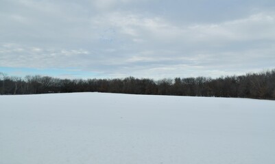 Snowy Field