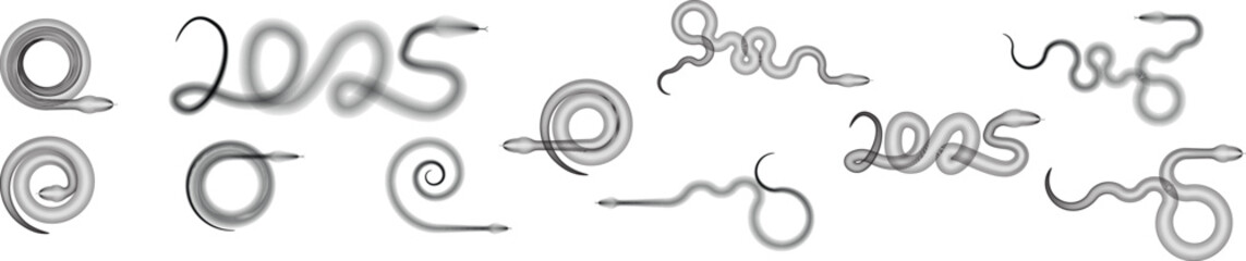 Snake logo. Chinese new year 2025 zodiac snake symbol .design elements .Abstract flow linear fluid shapes .Curved lines pattern . Vector illustration