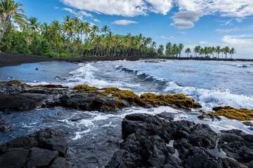Black sand beach with palm trees and succulents on Big Island of Hawaii near Cona. USA