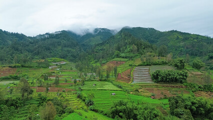 Aerial view of vegetables plantations with mountain on background of Dieng central java. Drone view of agriculture with fogs and mountains. 