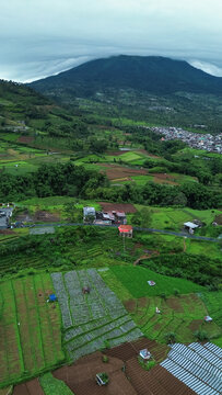 Aerial view of vegetables plantations with mountain on background of Dieng central java. Drone view of agriculture with fogs and mountains. 