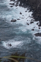 Ocean Waves Crashing on the Shoreline