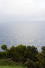 A cozy house with a red-roofed lighthouse on a cliff, surrounded by green fields and overlooking the endless ocean. A perfect spot to escape and enjoy the serenity of nature.