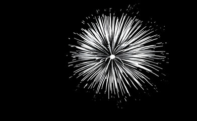 Obraz premium Monochromatic Fireworks Display: A Burst of White Light Against a Dark Night Sky
