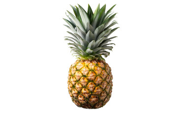 Fototapeta premium pineapple isolated