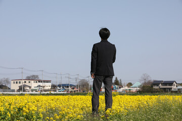 菜の花畑と男性