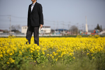 スーツを着た男性と菜の花畑