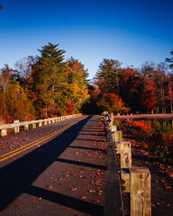 Autumn Road