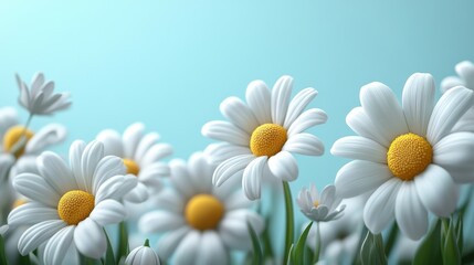 Naklejka premium Beautiful white daisies blooming in a sunny garden