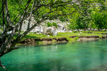 Naklejka premium Beautiful shot of the lake in the forest